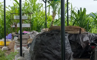 保護中: ホスピタリティ業界がいかにして バリ により良いリサイクルをもたらす道を切り拓いているか