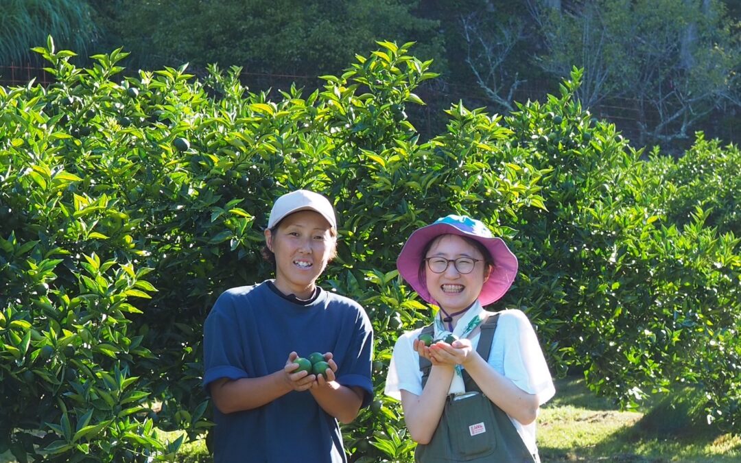 【「食で人をつなぐ」その起点としての一皿】〜未来のレシピコンテスト・ファイナリストの声〜