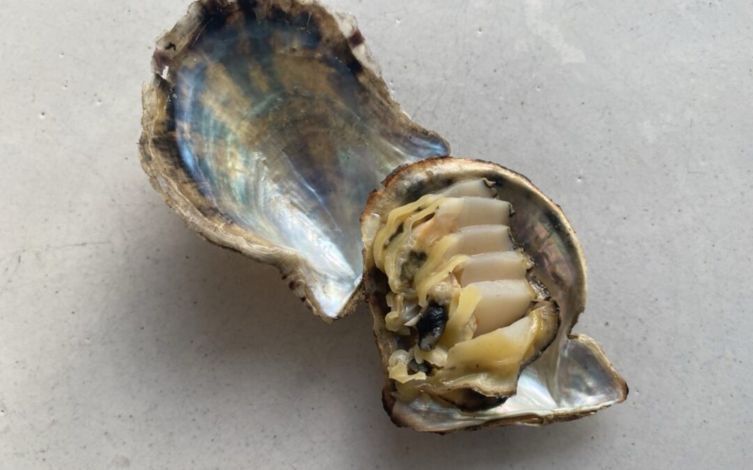 保護中: 魚介は「旬」に合わせて調達するとなぜ良いのか